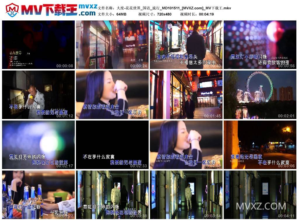 大度-花花世界_国语_流行_MD101511